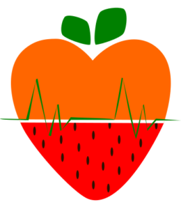 Logo de Harmonie Diet' : Un cœur (santé) en deux parties : le bas est de couleur rouge avec des points noirs et évoque une fraise (nutrition) ; le haut est orange et évoque la couleur d'une carotte (nutrition) ; la partie haute et basse du cœur sont séparées d'une ligne verte qui évoque un rythme cardiaque (santé). Le cœur est surmonté de deux feuilles vertes. Le tout évoque le lien entre santé et diététique.